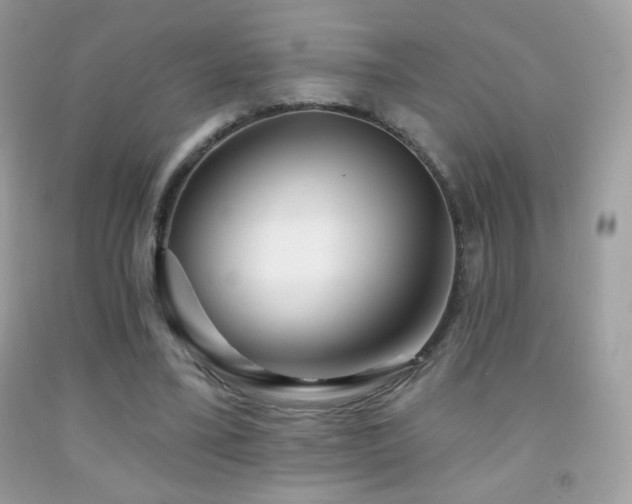 X0000091850395200709051151