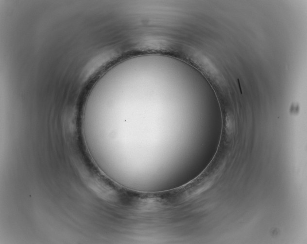 X0000091850396200709051151
