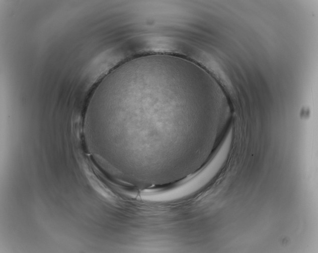 X0000091850397200709051151