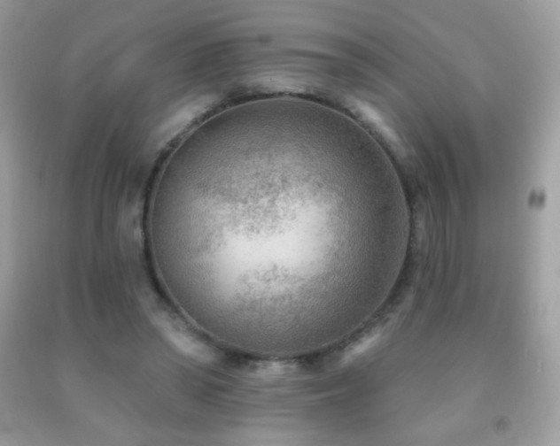 X0000091850398200709051151