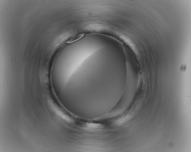 X0000091850399200709051151