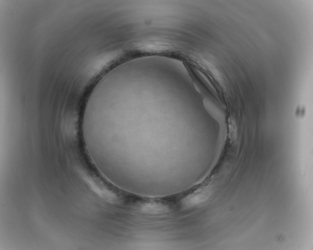 X0000091850400200709051151