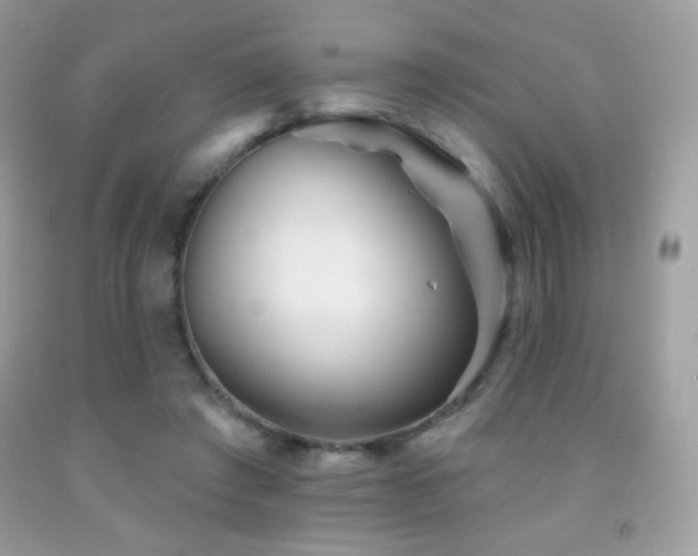 X0000091850401200709051151