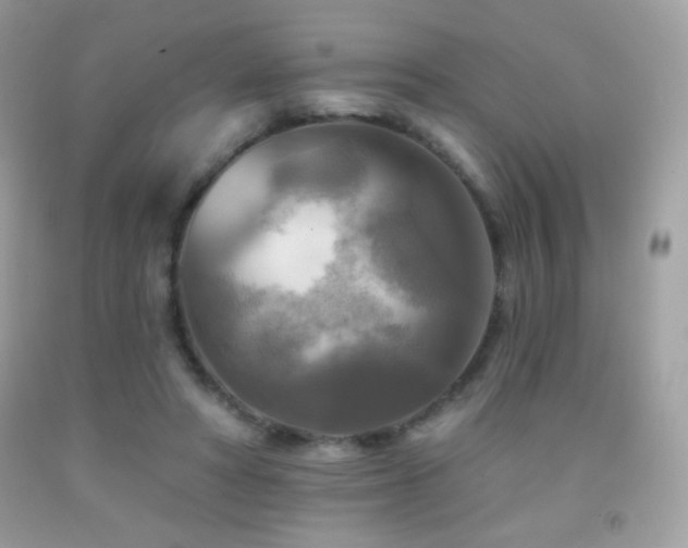 X0000091850402200709051151