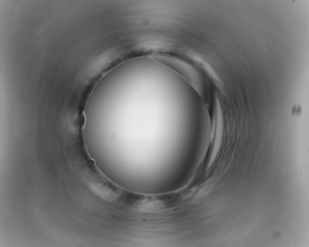 X0000091850403200709051151