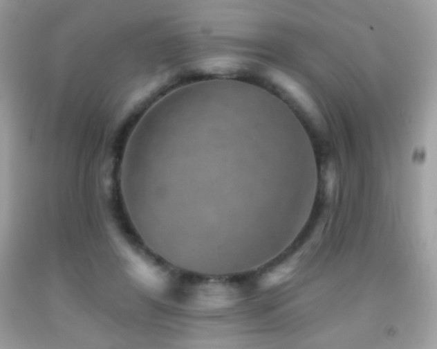 X0000091850404200709051151