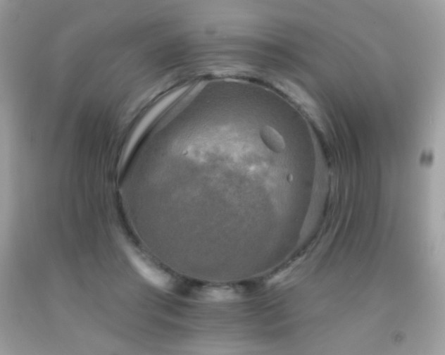 X0000091850405200709051151