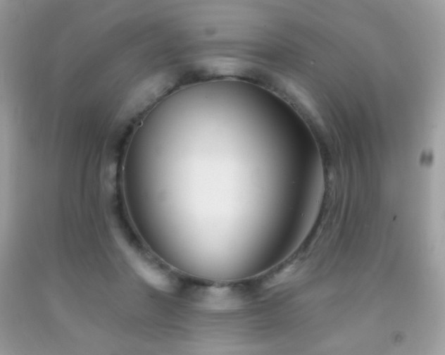 X0000091850406200709051151
