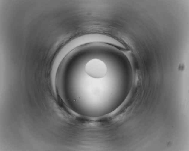 X0000091850407200709051151