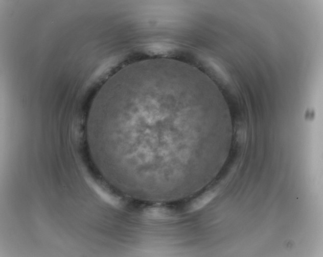 X0000091850408200709051151