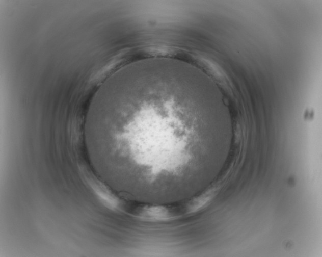X0000091850409200709051151