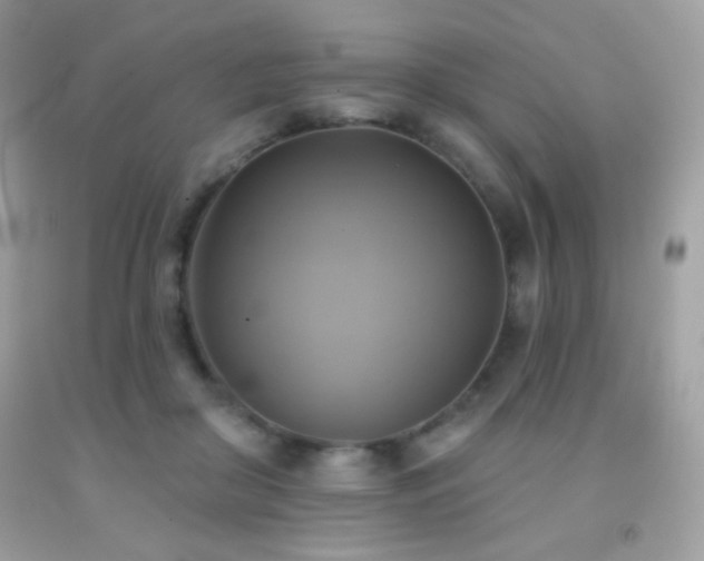 X0000091850410200709051151