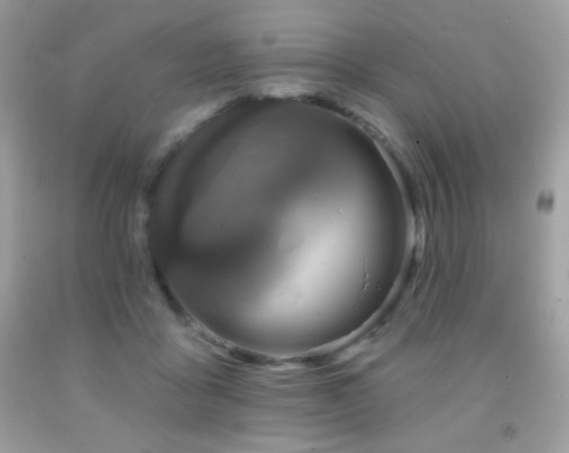 X0000091850411200709051151