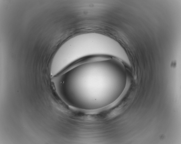 X0000091850412200709051151