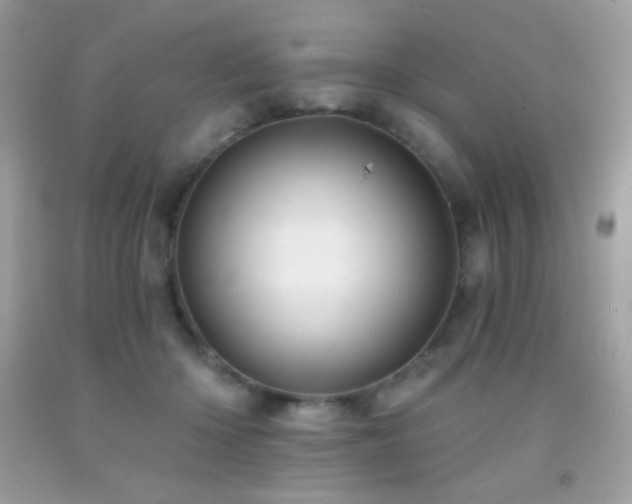 X0000091850414200709051151