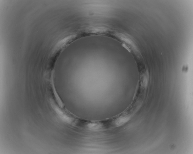 X0000091850415200709051151