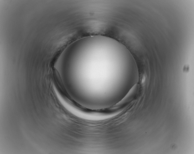 X0000091850416200709051151