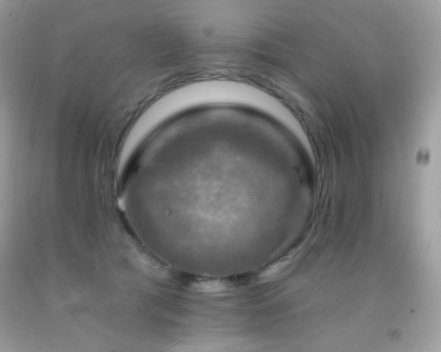 X0000091850417200709051151