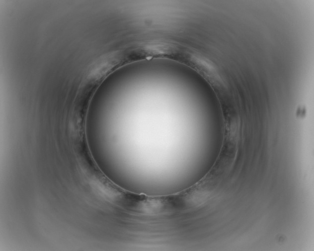 X0000091850418200709051151