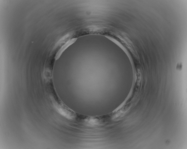 X0000091850419200709051151