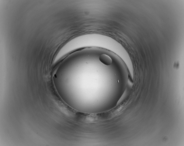 X0000091850420200709051150