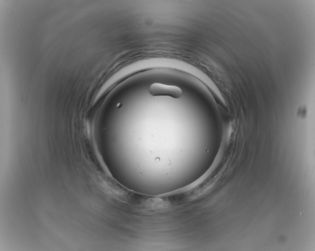 X0000091850421200709051150