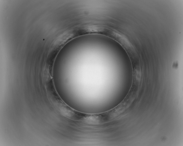 X0000091850422200709051150