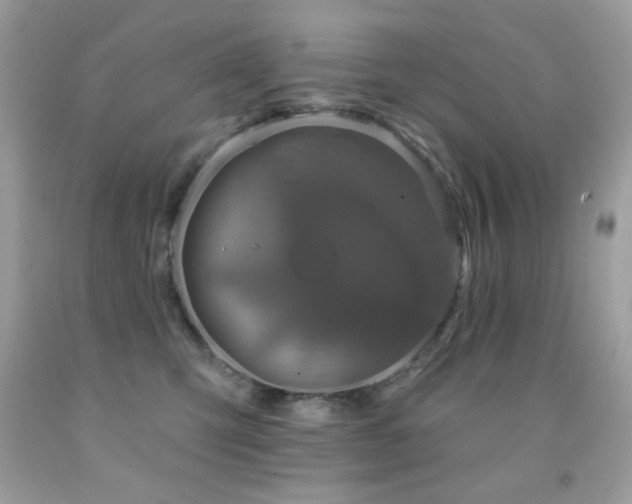 X0000091850423200709051150