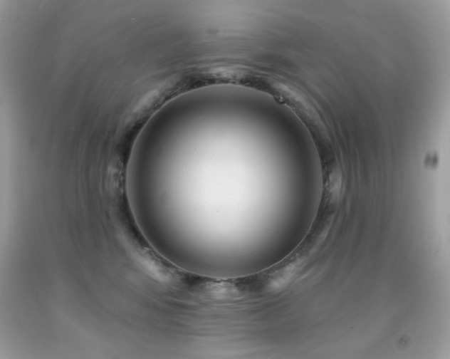 X0000091850424200709051150