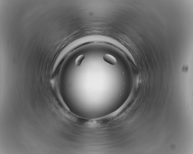 X0000091850425200709051150