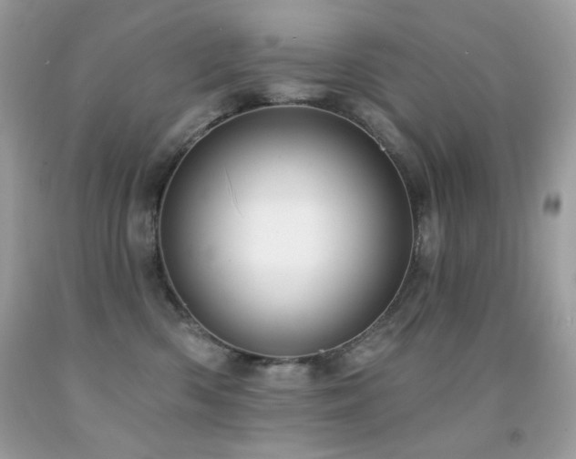 X0000091850426200709051150
