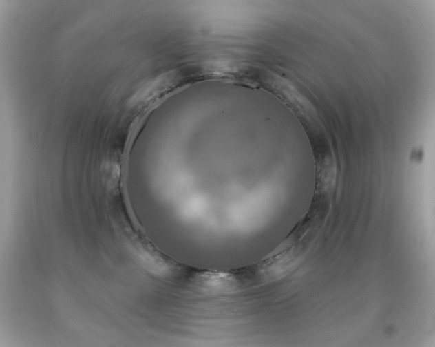 X0000091850427200709051150