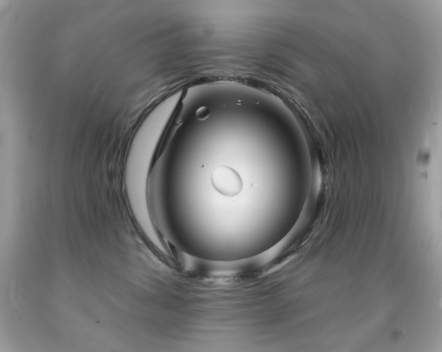 X0000091850428200709051150