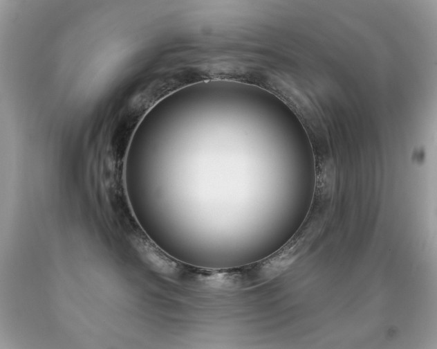 X0000091850430200709051150