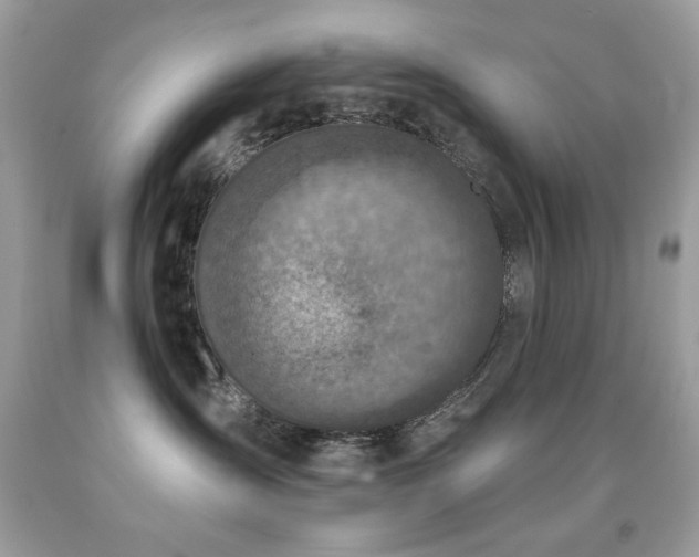 X0000091850431200709051150