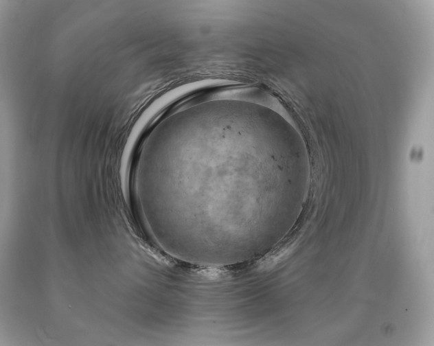 X0000091850432200709051150