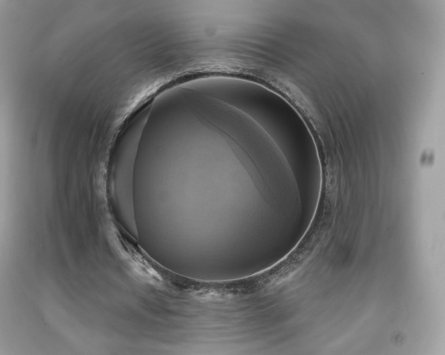 X0000091850434200709051149