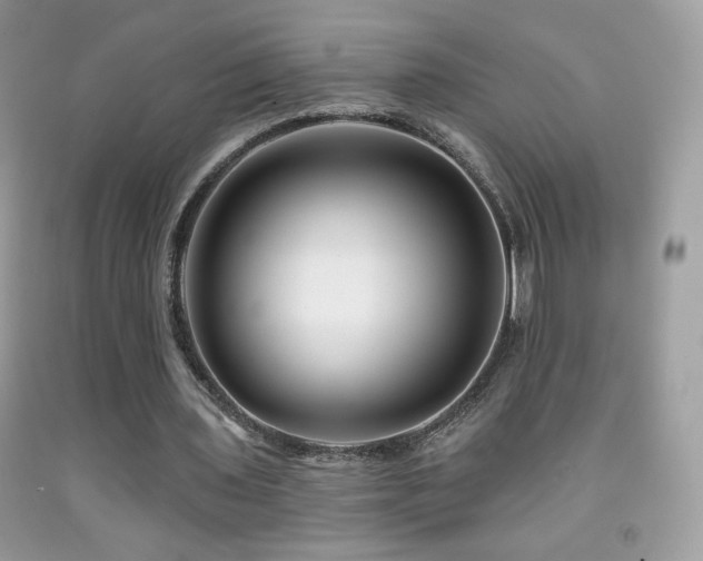X0000091850435200709051149
