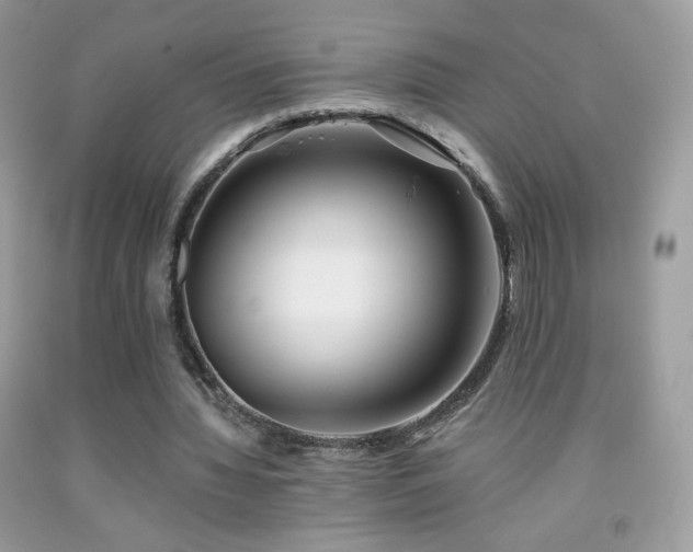 X0000091850436200709051149