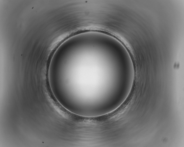 X0000091850437200709051149