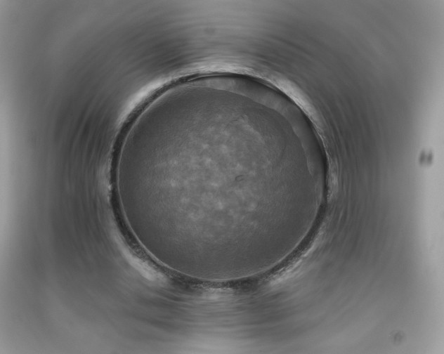 X0000091850438200709051149