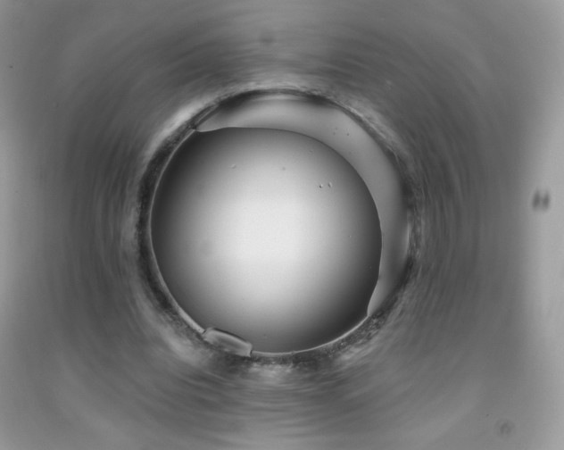 X0000091850440200709051149