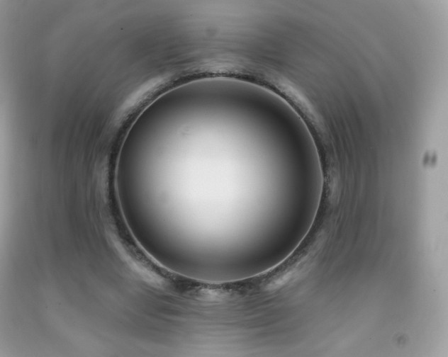 X0000091850442200709051150