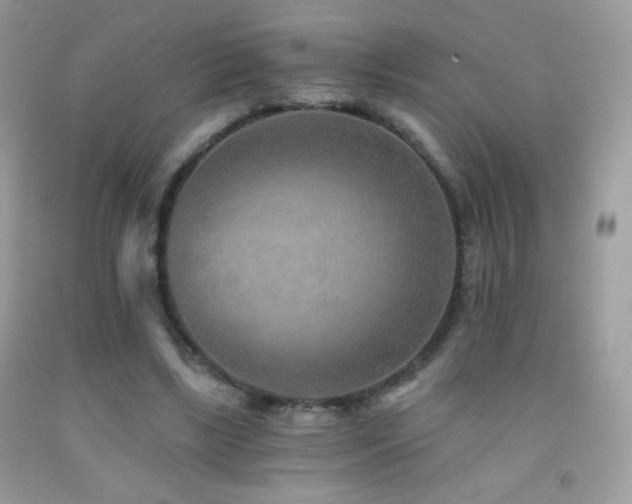 X0000091850443200709051150