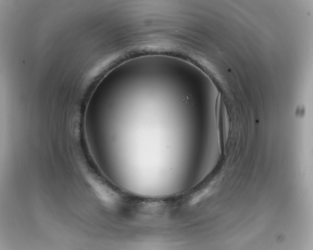 X0000091850446200709051150