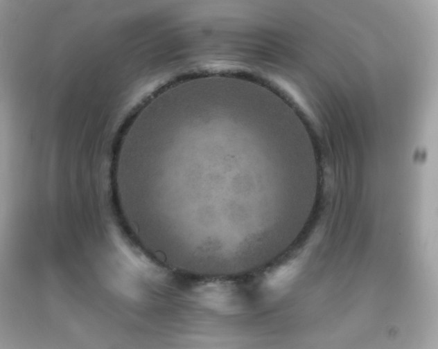 X0000091850447200709051150