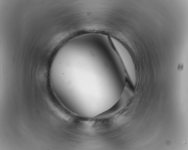 X0000091850448200709051150
