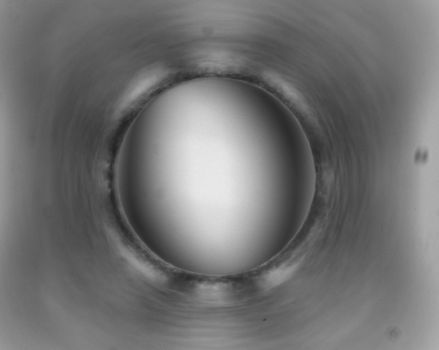 X0000091850450200709051150