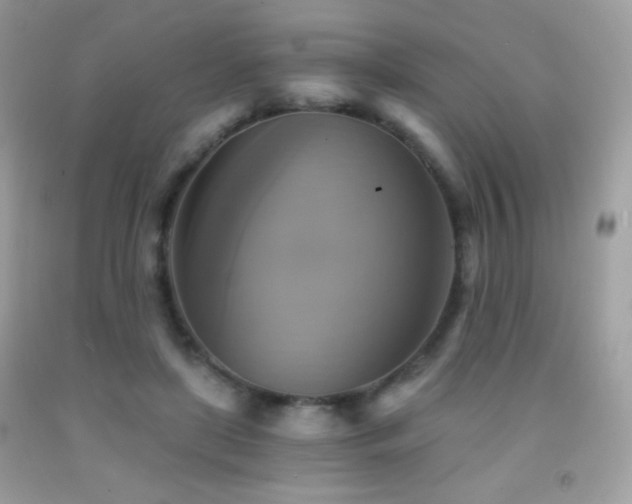 X0000091850451200709051150