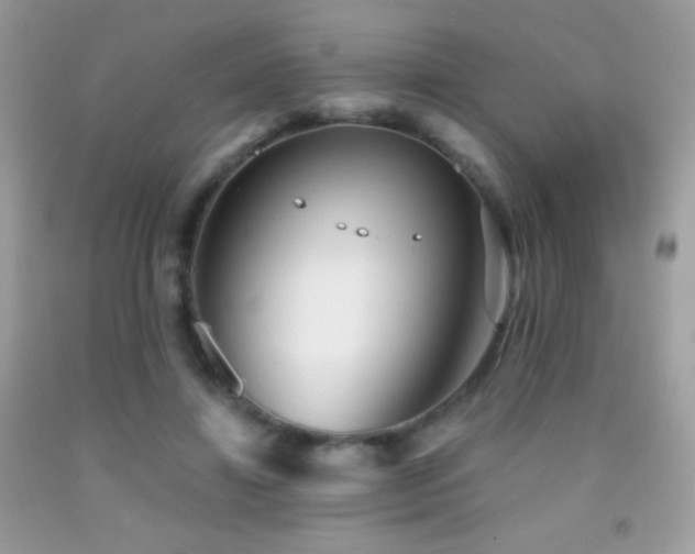 X0000091850452200709051150
